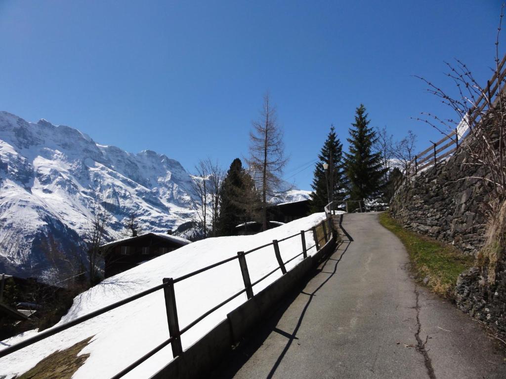 Chalet Schoenbuehl Murren Exterior photo