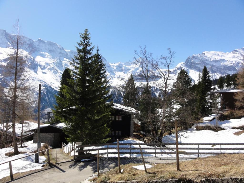 Chalet Schoenbuehl Murren Exterior photo
