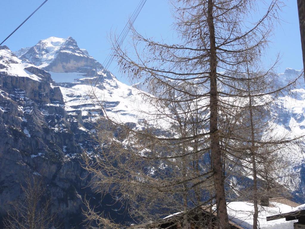 Chalet Schoenbuehl Murren Exterior photo